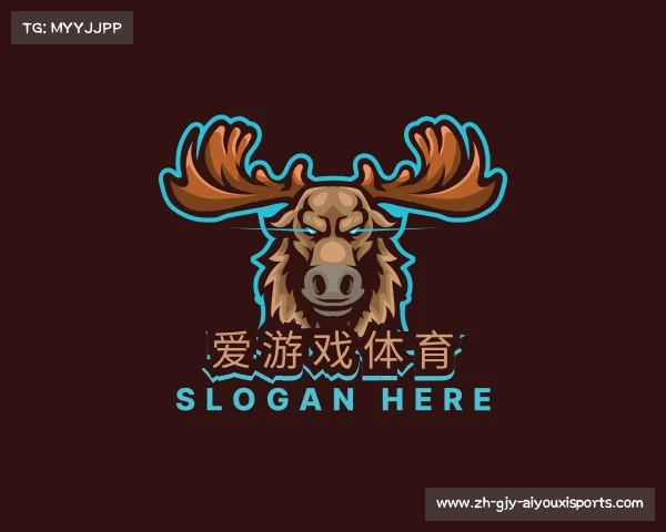 介绍爱游戏体育